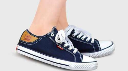 Levis Women Stan Buck Canvas Shoe New 